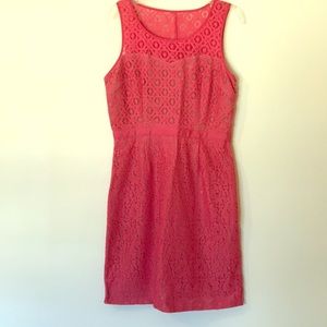 Elle Lace dress